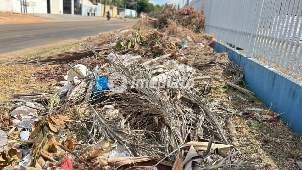 Moradores denunciam acúmulo de lixo na rua Raimundo Filgueiras, no bairro Buritis, em Boa Vista