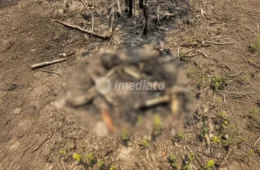 VÍDEO: Ossada humana é achada em área de mata após incêndio em Cacau Pirêra