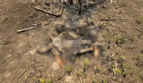 VÍDEO: Ossada humana é achada em área de mata após incêndio no Cacau Pirêra