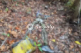 VEJA AS IMAGENS: ossada humana é encontrada por trabalhadores em área de mata na Ponta Negra
