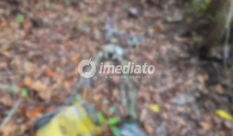 VEJA AS IMAGENS: ossada humana é encontrada por trabalhadores em área de mata na Ponta Negra