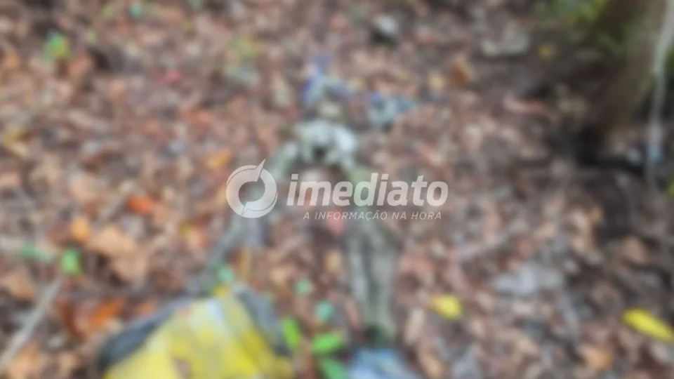 VEJA AS IMAGENS: ossada humana é encontrada por trabalhadores em área de mata na Ponta Negra