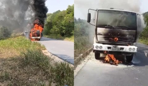 VEJA VÍDEO: Caminhão-tanque pega fogo e incêndio atinge vegetação na AM-010
