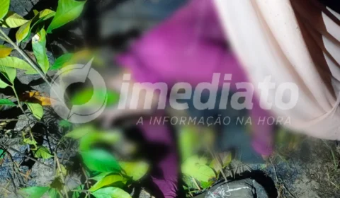 IMAGENS FORTES | Chamas em área florestal matam uma pessoa