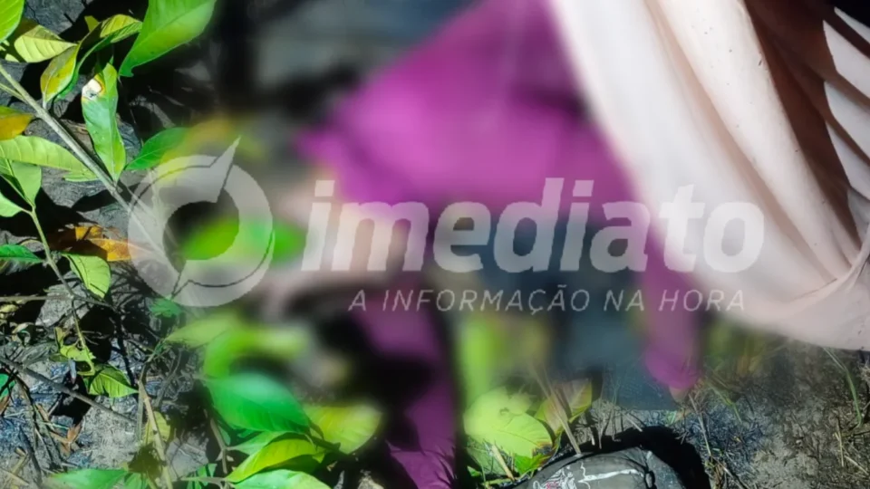 IMAGENS FORTES | Chamas em área florestal matam uma pessoa