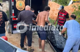 VEJA IMAGENS: Corpo de homem é encontrado amarrado e em decomposição em área de mata no Nova Cidade