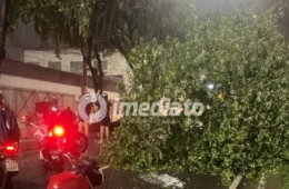 VEJA VÍDEO: Forte chuva derruba árvore na Avenida Jacira Reis e causa transtornos no trânsito em Manaus