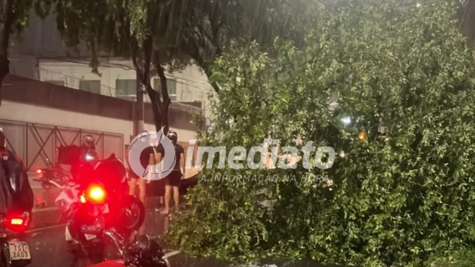 VEJA VÍDEO: Forte chuva derruba árvore na Avenida Jacira Reis e causa transtornos no trânsito em Manaus