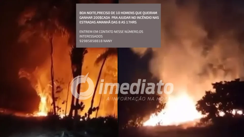 BOA VISTA DO RAMOS EM ALERTA: moradores oferecem R$ 200 para população ajudar a combater incêndio
