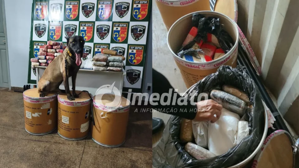 Cão farejador encontra mais de 72 kg de drogas escondidas em balsa no Amazonas