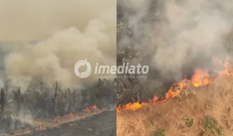 Imagens de drone mostram extensa área atingida por queimadas no Amazonas