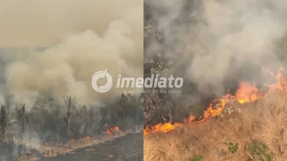 Imagens de drone mostram extensa área atingida por queimadas no Amazonas