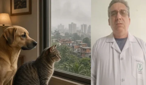Fumaça em Manaus: veterinário orienta manter animais dentro de casa e evitar passeios