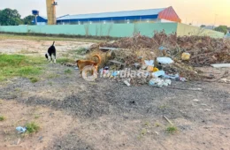 Moradores denunciam acúmulo de lixo próximo a escola no bairro Nova Cidade, em Boa Vista