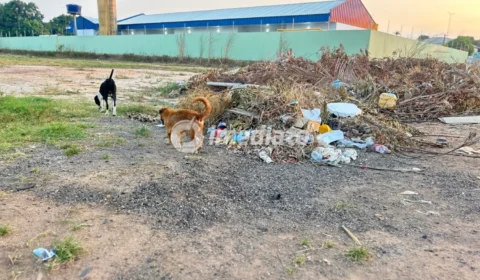 Moradores denunciam acúmulo de lixo próximo a escola no bairro Nova Cidade, em Boa Vista