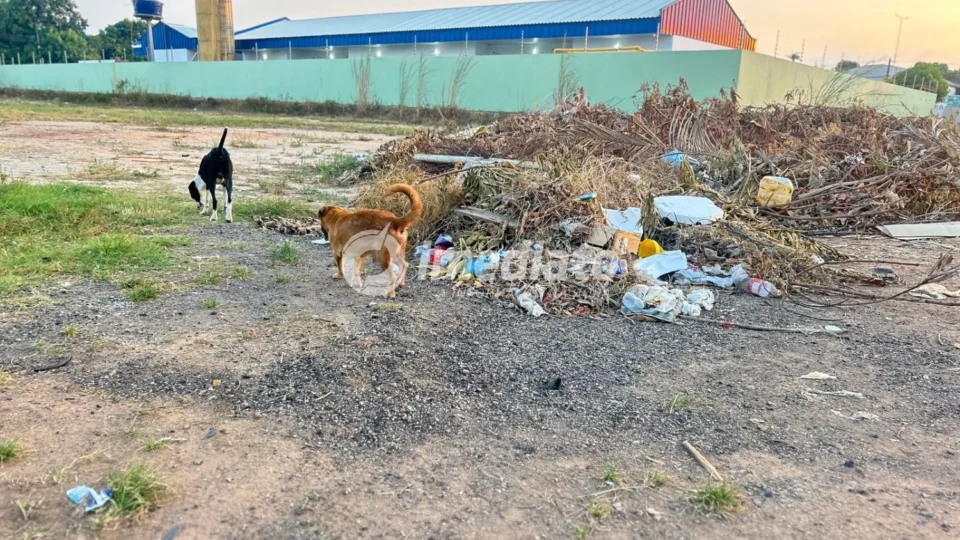Moradores denunciam acúmulo de lixo próximo a escola no bairro Nova Cidade, em Boa Vista