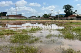 Terreno onde ocorre festival cultural acumula lixo e preocupa moradores da Zona Sul