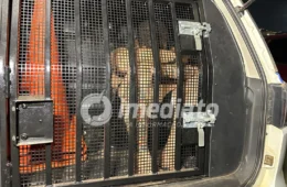 SE DEU MAL! Homem empina moto na cara de policiais do GIRO e acaba preso