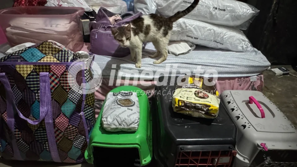 Família perde casa em incêndio e busca ajuda após perder animais de estimação em Manaus