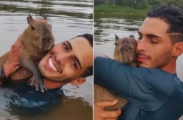 VEJA VÍDEO: Justiça dá 30 dias para Agenor Tupinambá entregar capivara Filó ao Ibama