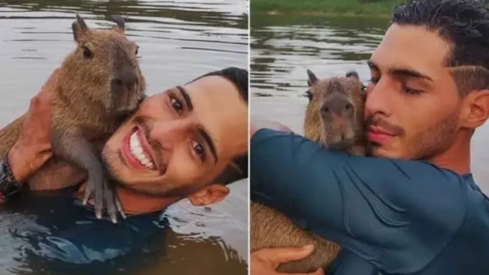 VEJA VÍDEO: Justiça dá 30 dias para Agenor Tupinambá entregar capivara Filó ao Ibama