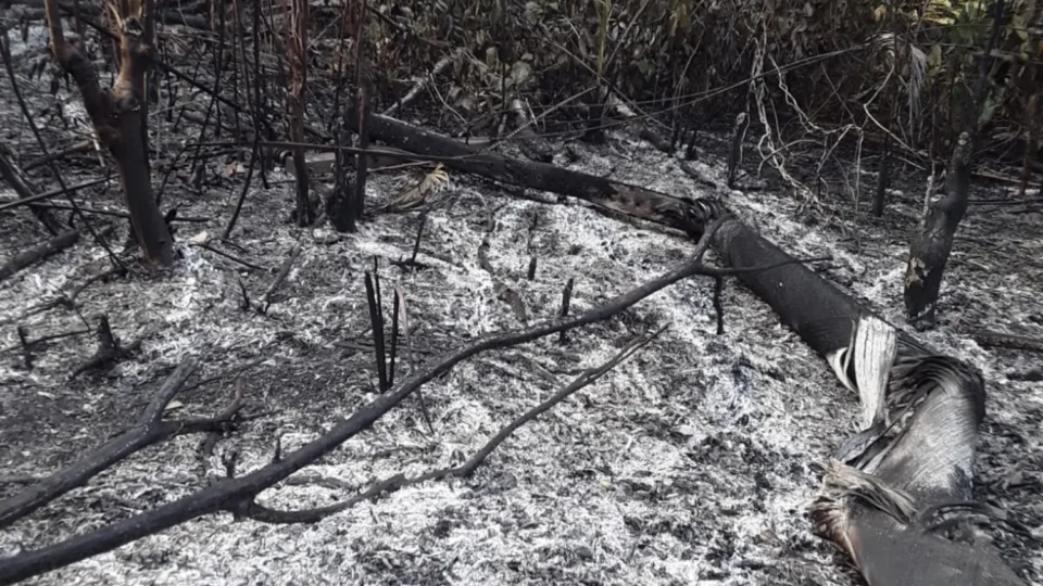 VEJA IMAGENS: Chamas se espalham por área rural de Maués e mobilizam Bombeiros