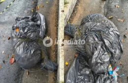 SERIAL KILLER? Corpos encontrados em sacos plásticos em São Paulo levantam suspeita de ligação entre os crimes