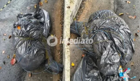 SERIAL KILLER? Corpos encontrados em sacos plásticos em São Paulo levantam suspeita de ligação entre os crimes