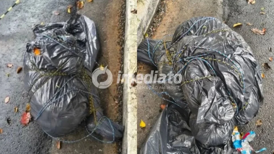 SERIAL KILLER? Corpos encontrados em sacos plásticos em São Paulo levantam suspeita de ligação entre os crimes
