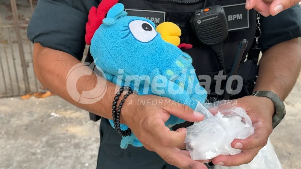 EXCLUSIVO | Suspeita é presa por guardar e traficar drogas dentro da “Galinha Pintadinha”