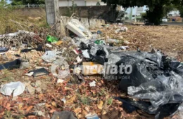 CENÁRIO DE HORROR: Lixeira viciada vira depósito de móveis e ameaça a saúde de moradores