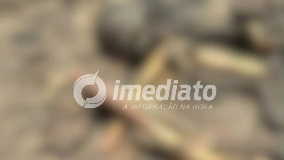 VEJA VÍDEO: Ossada humana é encontrada entre cinzas em área atingida por incêndio no Cacau Pirêra