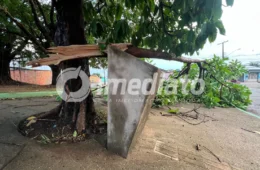 VENDAVAL CAUSA DESTRUIÇÃO: Temporal arranca telhados, derruba árvores e assusta moradores