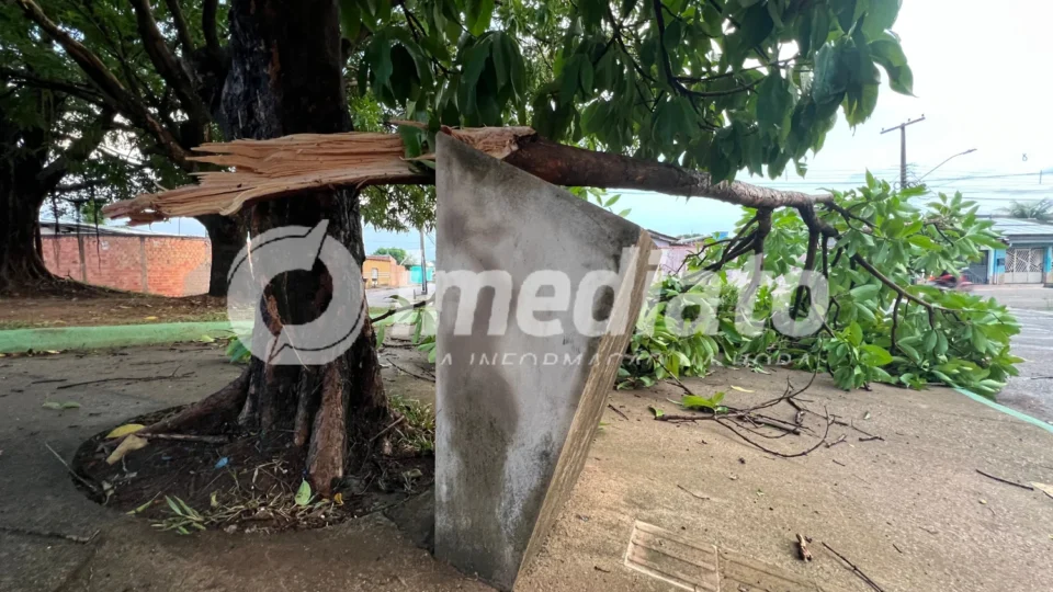 VENDAVAL CAUSA DESTRUIÇÃO: Temporal arranca telhados, derruba árvores e assusta moradores