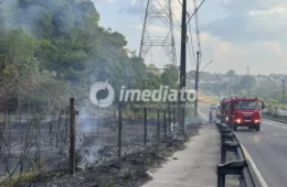 VEJA AS IMAGENS: Incêndio atinge extensa área de mata na Avenida das Torres, em Manaus