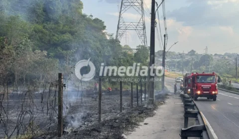 VEJA AS IMAGENS: Incêndio atinge extensa área de mata na Avenida das Torres, em Manaus