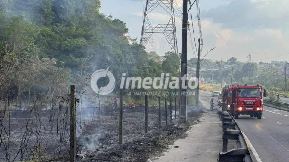 VEJA AS IMAGENS: Incêndio atinge extensa área de mata na Avenida das Torres, em Manaus
