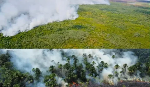 Ibama registra 124 acionamentos por incêndios florestais no Amapá durante período de estiagem