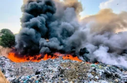 Incêndio de grandes proporções atinge área de vegetação no Distrito Industrial 2, em Manaus