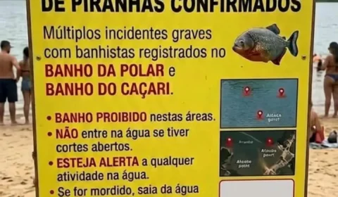 Relatos de mordidas de piranhas acendem alerta entre banhistas