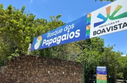 DIVERSÃO PARA TODOS: Bosque dos Papagaios é opção de lazer para as famílias no Dia das Crianças
