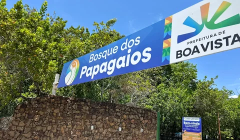 DIVERSÃO PARA TODOS: Bosque dos Papagaios é opção de lazer para as famílias no Dia das Crianças