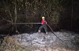 Incêndio atinge área de mata na avenida das Torres e mobiliza Bombeiros em Manaus