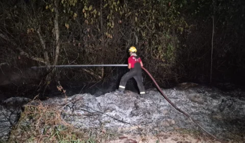 Incêndio atinge área de mata na avenida das Torres e mobiliza Bombeiros em Manaus