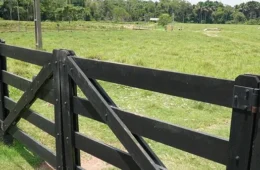 Ameaças de morte e milhões de reais: os bastidores de um esquema investigado em Rondônia