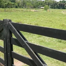 Ameaças de morte e milhões de reais: os bastidores de um esquema investigado em Rondônia