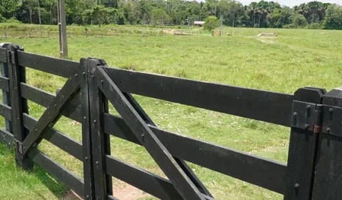 Ameaças de morte e milhões de reais: os bastidores de um esquema investigado em Rondônia