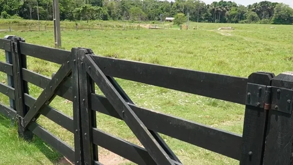 Ameaças de morte e milhões de reais: os bastidores de um esquema investigado em Rondônia