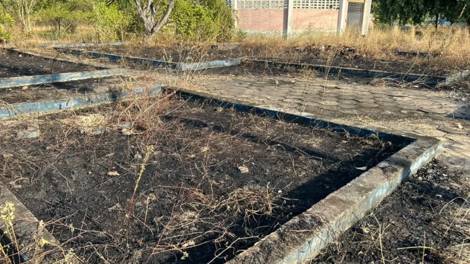 URGENTE: Incêndio atinge antigo parque aquático abandonado