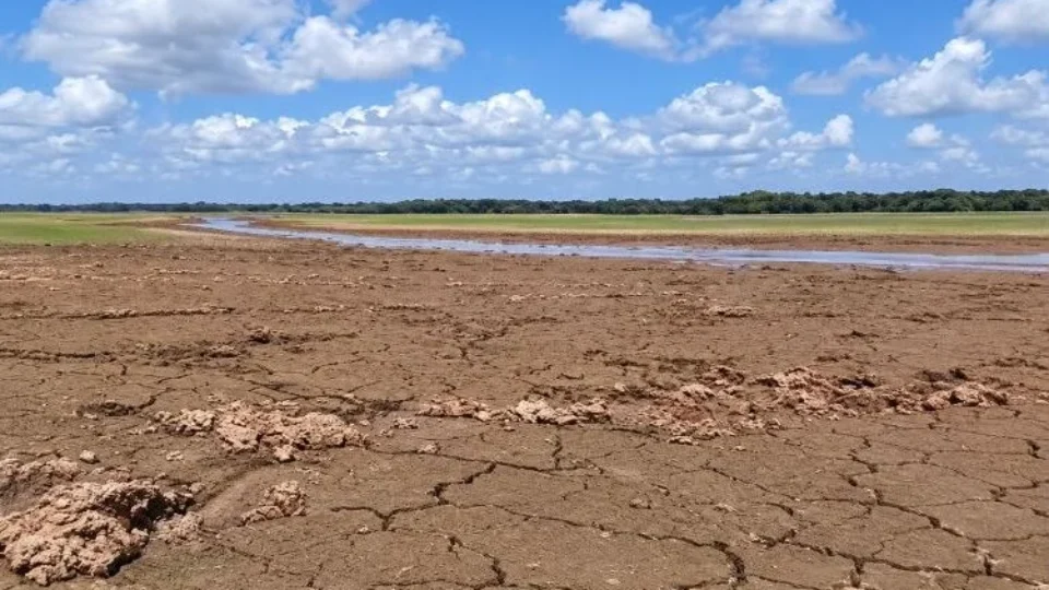 Seca faz lagos desaparecerem e deixa peixes presos na lama em Pracuúba, no Amapá